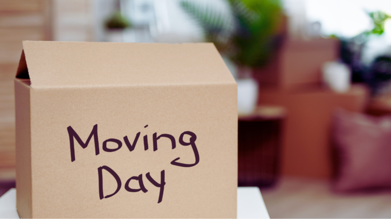 Moving Day